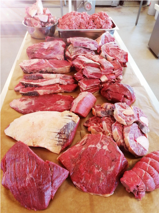 1/8 ungkvæg 26-28 kg