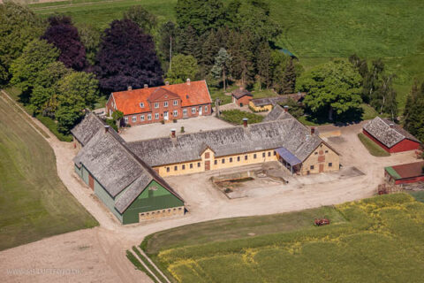 Lynggaarden